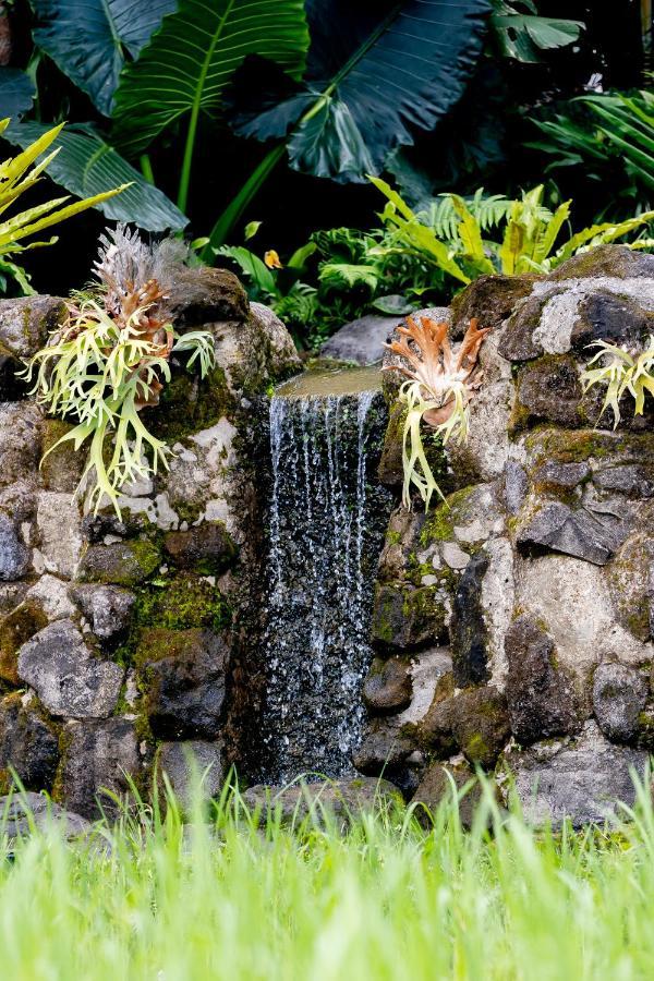 Hotel Anumana Village Ubud