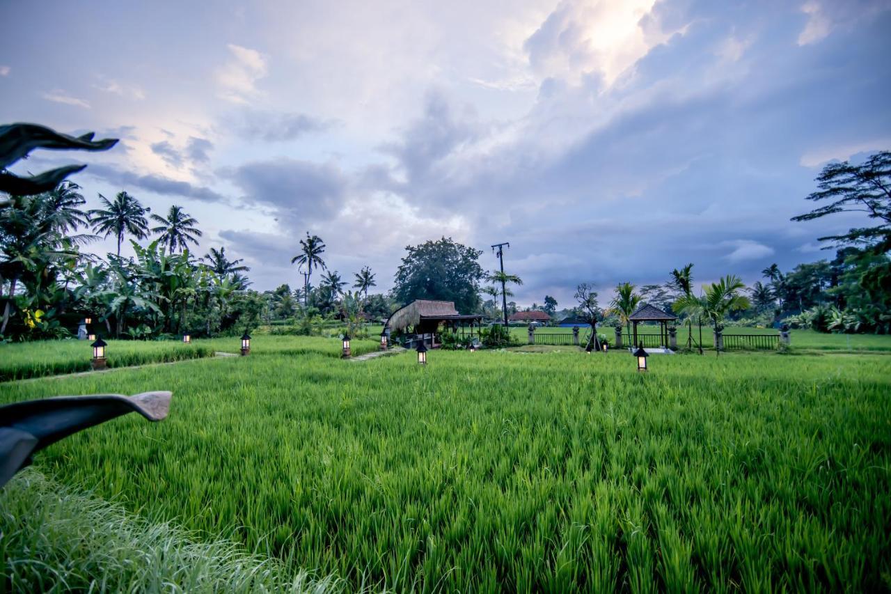Anumana Village Hotel Ubud