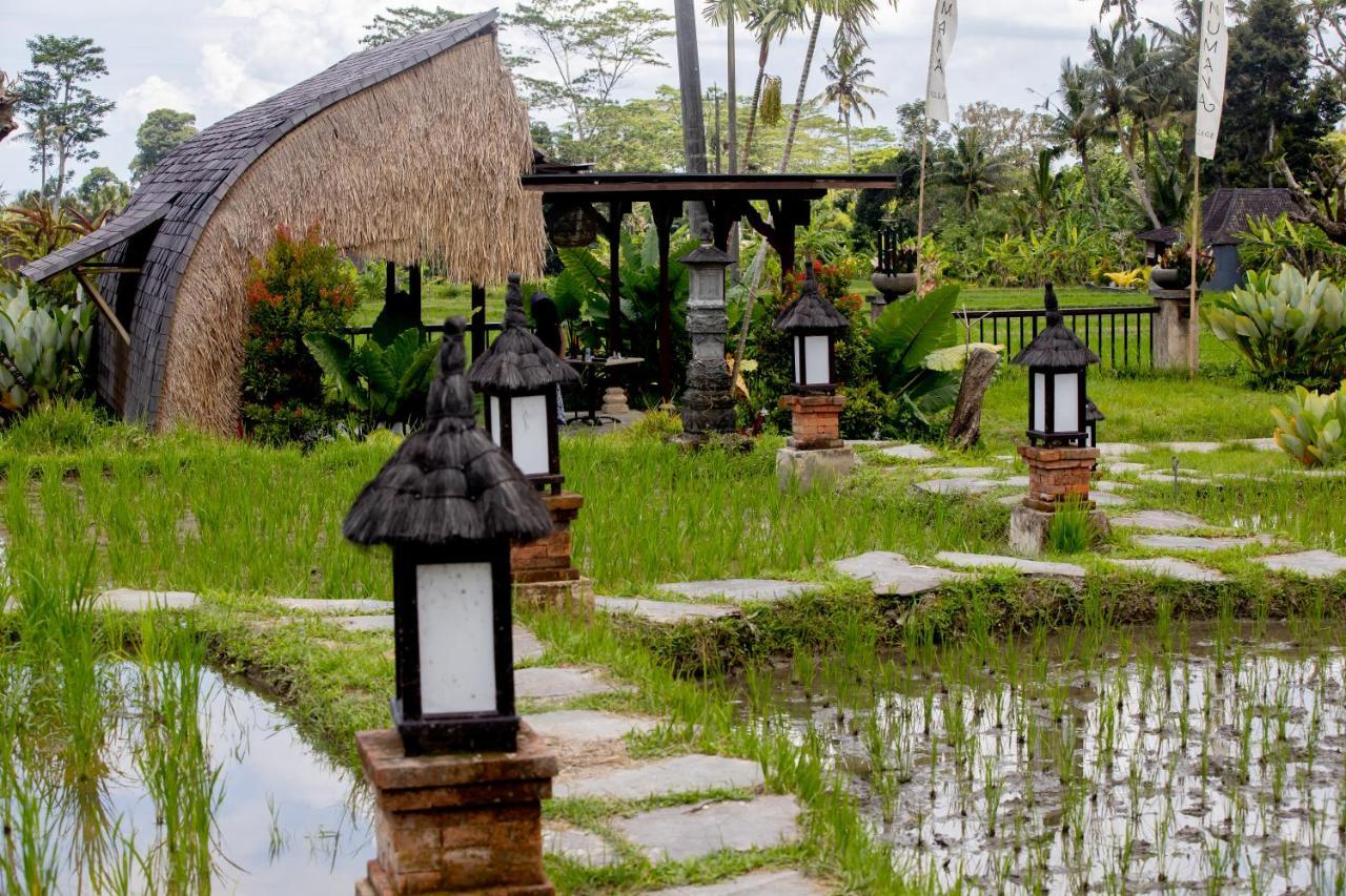 Anumana Village Hotel Ubud