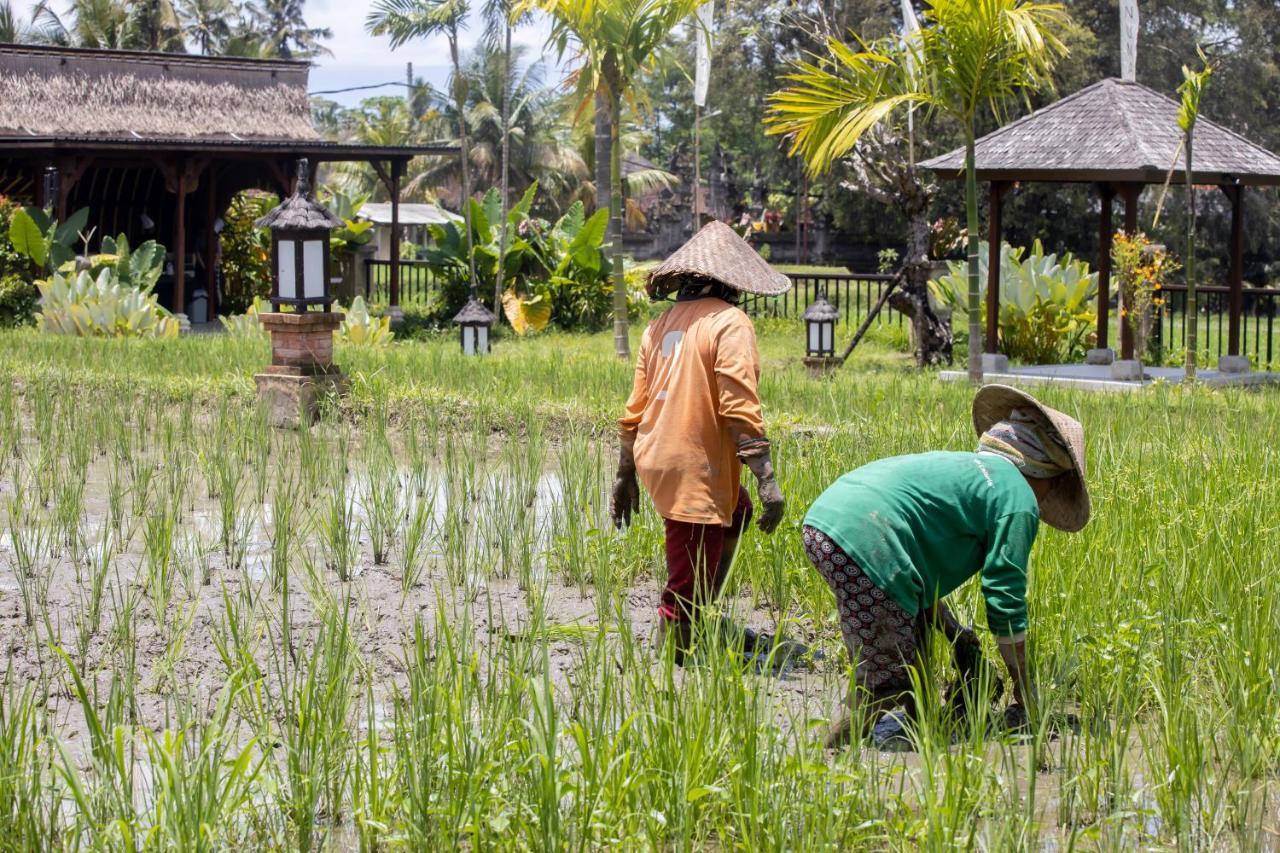 Anumana Village Hotel Ubud